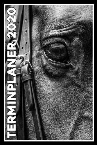 Terminplaner 2020: Jahresplaner von September 2019 bis Dezember 2020 mit Pferd - Planer mit 174 Seiten in weiss im Format A5 mit glanzendem Soft Cover.