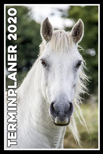 Terminplaner 2020: Jahresplaner von September 2019 bis Dezember 2020 mit Pferd - Planer mit 174 Seiten in weiss im Format A5 mit glanzendem Soft Cover.