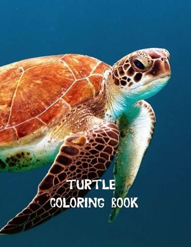Turtle coloring book: Coloring Toy Gifts for Toddlers, Kids or Adult Relaxation Cute Easy and Relaxing Realistic Large Print Birthday Gifts
