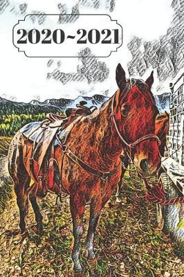 Brown Horse in Rocky Mountains Dated Calendar Planner 2 years To-Do Lists, Tasks, Notes Appointments: Cute Small Pocket/Purse Size at-A-Glance Schedule Gift Notebook for Equestrian lover