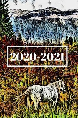 White Horse in the Colorado Mountains Dated Calendar Planner 2 years To-Do Lists, Tasks, Notes Appointments: Pretty Small Pocket/Purse Size at-A-Glance Schedule Gift Notebook for Equestrian Lovers
