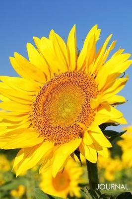 Journal: Vintage Rustic Positivity Sunflower Vase Blank Lined Journal Writing Notebook - Sunshine Botanical Floral Garden Decorated Interior Design