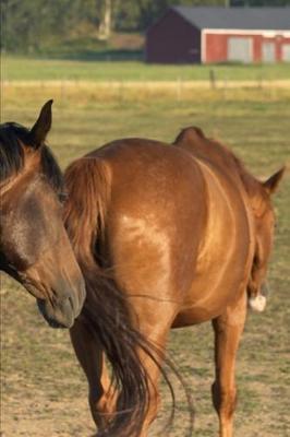 2020 Weekly Planner Horse Photo Equine Back To Barn 134 Pages: 2020 Planners Calendars Organizers Datebooks Appointment Books Agendas
