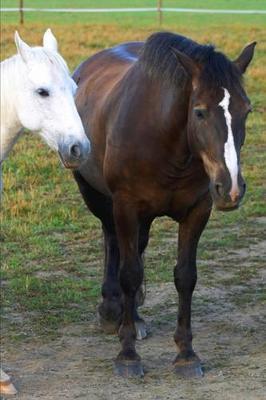 2020 Weekly Planner Horse Photo Equine Barn Buddies 134 Pages: 2020 Planners Calendars Organizers Datebooks Appointment Books Agendas