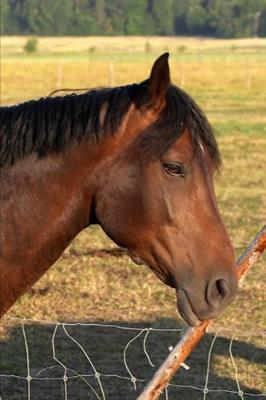 2020 Weekly Planner Horse Photo Equine Bay Horse Fence 134 Pages: 2020 Planners Calendars Organizers Datebooks Appointment Books Agendas