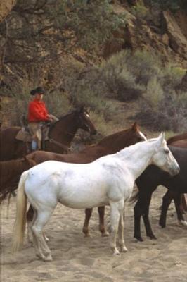2020 Weekly Planner Horse Photo Equine Cowboy Herd 134 Pages: 2020 Planners Calendars Organizers Datebooks Appointment Books Agendas