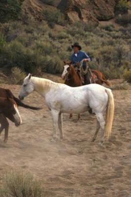2020 Weekly Planner Horse Photo Equine Cowboy Horseback 134 Pages: 2020 Planners Calendars Organizers Datebooks Appointment Books Agendas