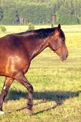 2020 Weekly Planner Horse Photo Equine Dappled Bay 134 Pages: 2020 Planners Calendars Organizers Datebooks Appointment Books Agendas