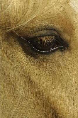 2020 Weekly Planner Horse Photo Equine Eye 134 Pages: 2020 Planners Calendars Organizers Datebooks Appointment Books Agendas