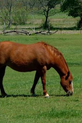 2020 Weekly Planner Horse Photo Equine Grazing Chestnut 134 Pages: 2020 Planners Calendars Organizers Datebooks Appointment Books Agendas
