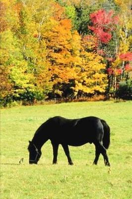 2020 Weekly Planner Horse Photo Equine Grazing Horse Fall Foliage 134 Pages: 2020 Planners Calendars Organizers Datebooks Appointment Books Agendas