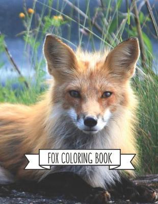 Fox Coloring Book: Fox Lover Gifts for Toddlers, Kids Ages 4-8, Girls Ages 8-12 or Adult Relaxation Cute Stress Relief Animal Birthday Coloring Book Made in USA