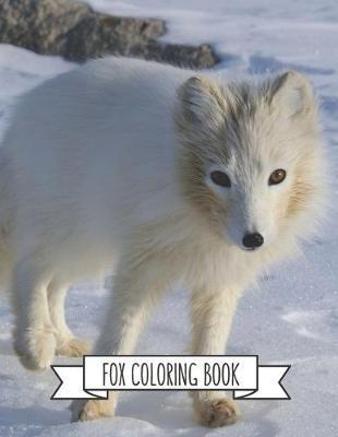 Fox Coloring Book: Fox Lover Gifts for Toddlers, Kids Ages 4-8, Girls Ages 8-12 or Adult Relaxation Cute Stress Relief Animal Birthday Coloring Book Made in USA
