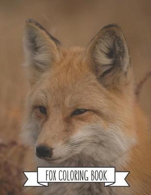 Fox Coloring Book: Fox Lover Gifts for Toddlers, Kids Ages 4-8, Girls Ages 8-12 or Adult Relaxation Cute Stress Relief Animal Birthday Coloring Book Made in USA