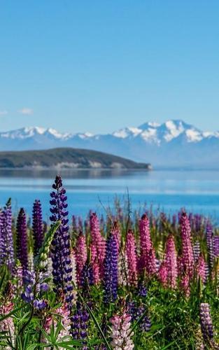 Notebook: New Zealand Tekapo Lake Sky Clouds Water Blue
