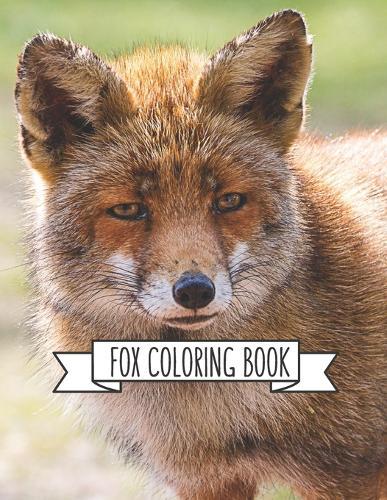 Fox Coloring Book: Fox Lover Gifts for Toddlers, Kids Ages 4-8, Girls Ages 8-12 or Adult Relaxation Cute Stress Relief Animal Birthday Coloring Book Made in USA