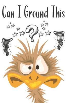 Can I Ground This: Get All The Thoughts Out Of Your Head Anxiety Brain Dump Journal With Vision Boards And Mind Maps To Organize Your Mind