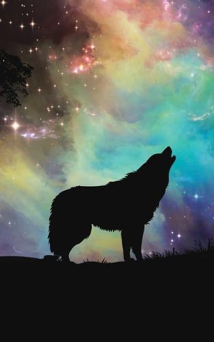 The Zine (Economy Color): The Illustrated Multiverse Vol. 1