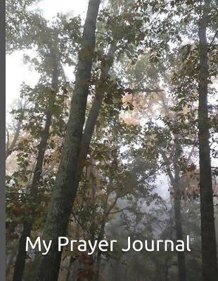 My Prayer Journal: Matthew 11:28 Come to Me, All You Who Are Weary and Burdened, and I Will Give You Rest.