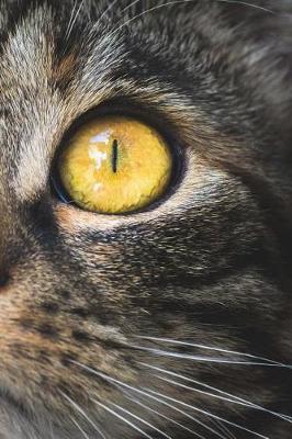 The Grey Cat Meows: Notebook