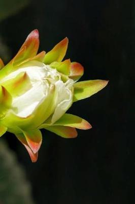 Cactus Flower Notebook