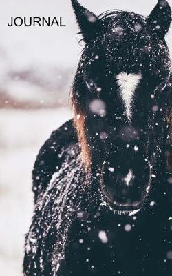 Journal: Notebook for Horseback Riders Equestrians Cowgirls and Horse Lovers