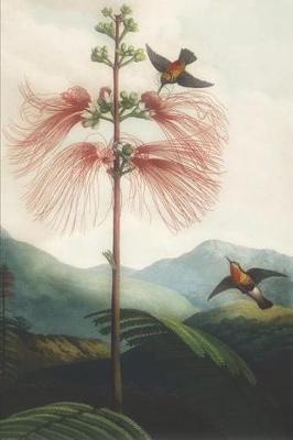 Journal: Dotted Notebook Featuring Vintage Art with Hummingbirds and Flowers