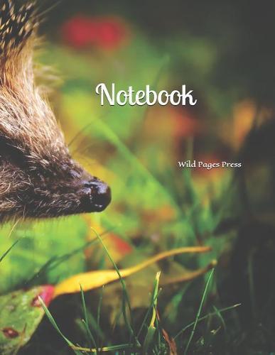 Notebook: Notebook Large Size 8.5 X 11 Ruled 150 Pages Softcover
