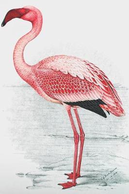 Journal: Vintage Flamingo Art Print - L