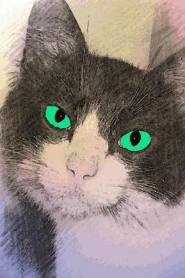 Sketchbook: Beautiful Cat Sketchbook for Children and Adults, Great Gift for Cat Lovers, 8.5x11 inches, 150 pages, (Blank Pages)