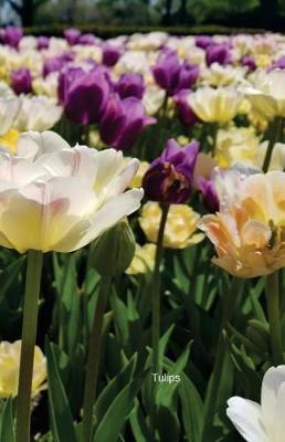 Tulips: Journal
