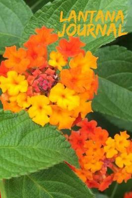 Lantana Journal (150 pages): 6 x9  Blank Unruled (Spanish Flowers Notebook A5 Unlined with Motif)