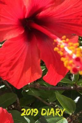 Hibiscus 2019 Diary: 6x9 Page-A-Day Journal (390 Pages A5 Daily Planner)