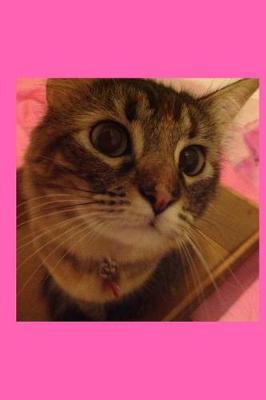 Queen Cammie the Cat Composition Book: College Ruled 200 Pages 6 x 9 inches (15.24 x 22.86 cm)