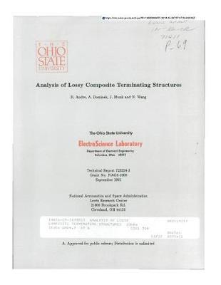 Analysis of Lossy Composite Terminating Structures