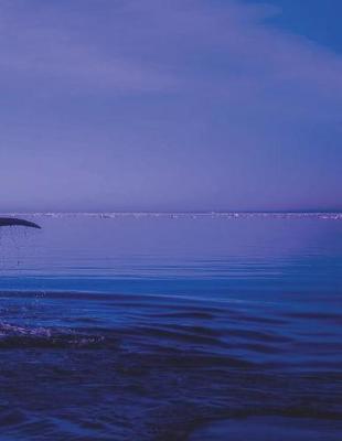 Notebook Large Size 8.5 x 11 Ruled 150 Lined Pages