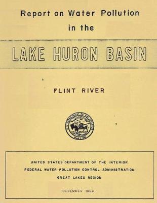Report on Water Pollution in the Lake Huron Basin: Flint River