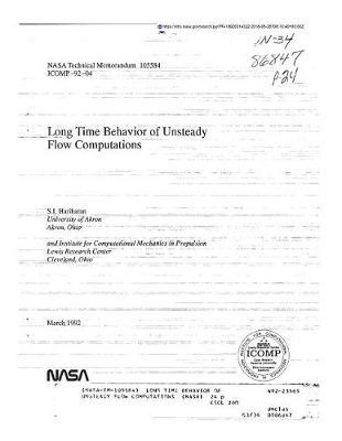 Long Time Behavior of Unsteady Flow Computations