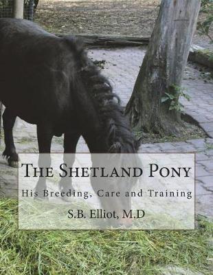 The Shetland Pony: His Breeding, Care and Training