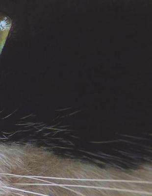 Cat Notebook Large Size 8.5 x 11 Ruled 150 Pages Softcover