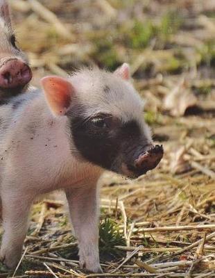 Piglet Notebook Large Size 8.5 x 11 Ruled 150 Pages Softcover