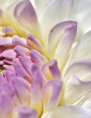 Dahlia Dahlias Flower Flowers Garden Gardening Seed DIY Blossom Bloom Mauve Bud: Notebook Journal Diary Composition Book Large Size 150 Ruled Pages for School, Office or Home Softcover Great Gift