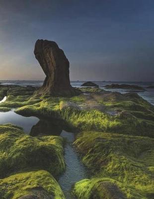 Coast Algae Sea Shore Beach Ocean Moss Sunset Summer Marine Coastal Biology: Notebook Journal Diary Composition Book Large Size 150 Ruled Pages for School, Office or Home Softcover Great Gift