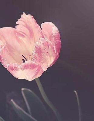 Tulip Bulb Bulbs Tulips Flower Garden Gardening Floral Pink White Cut Flowers: Notebook Journal Diary Composition Book Large Size 150 Ruled Pages for School, Office or Home Softcover Great Gift