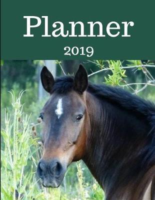 Planner 2019