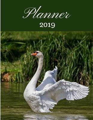 Planner 2019