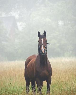 2019 Weekly Horse Planner Notebook: 152 Pages - 1 Day for Each Week & 100 Pages Blank College-Ruled Lined Paper
