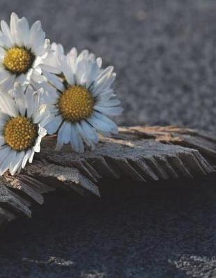 Key Notebook Journal Diary Composition Book Large Size 150 Ruled Pages: For School, Office or Home Softcover Great Gift