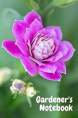 Gardener's Notebook: Blank, Medium College Ruled Journal, 6 X 9 Inches; 15.2 X 22.9 CM