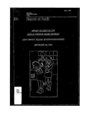 Lead in Drinking Water Program: Audit Report